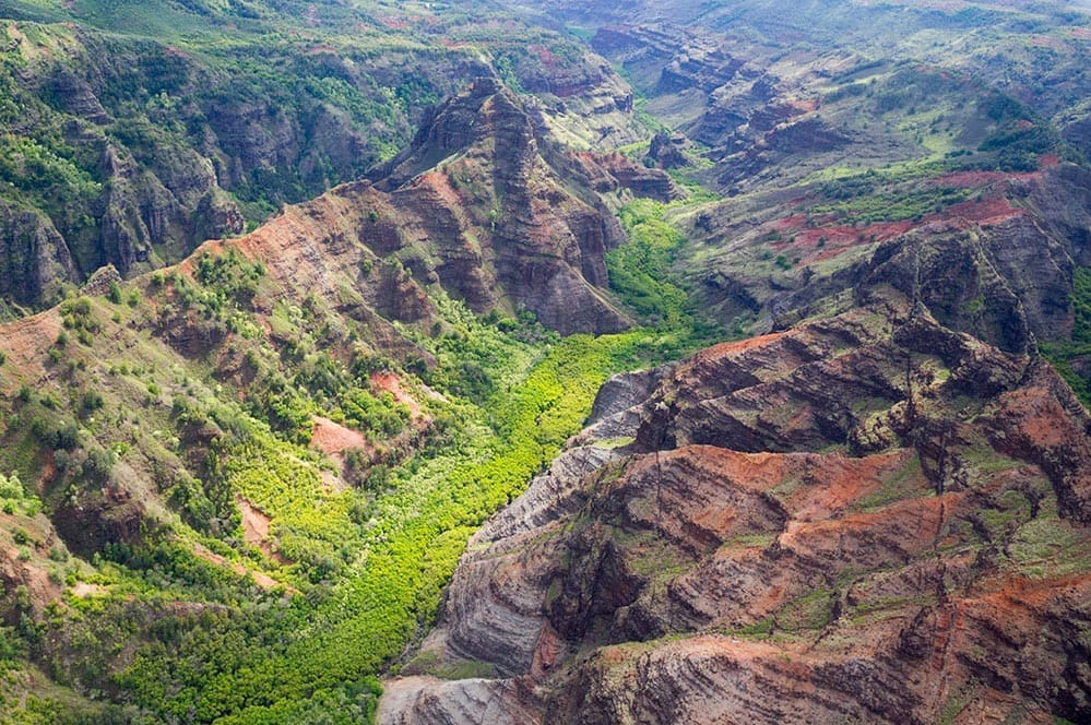 Kauai sightseeing tour waterfall view